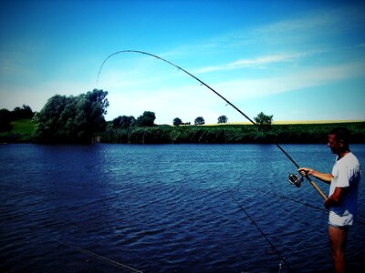 Fishing lake carp