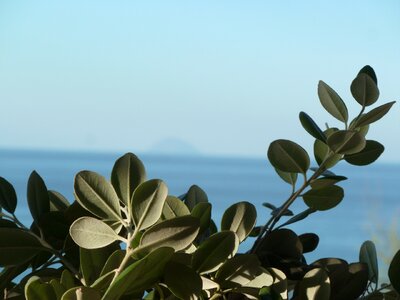 Sicily sea holiday