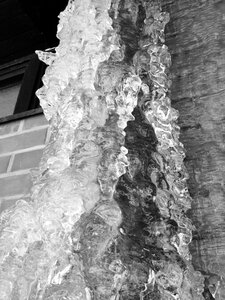 Ice black and white frozen photo