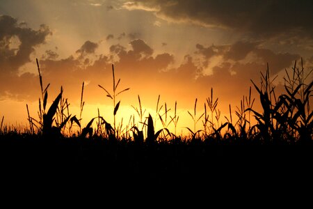 Evening sky abendstimmung sunset photo