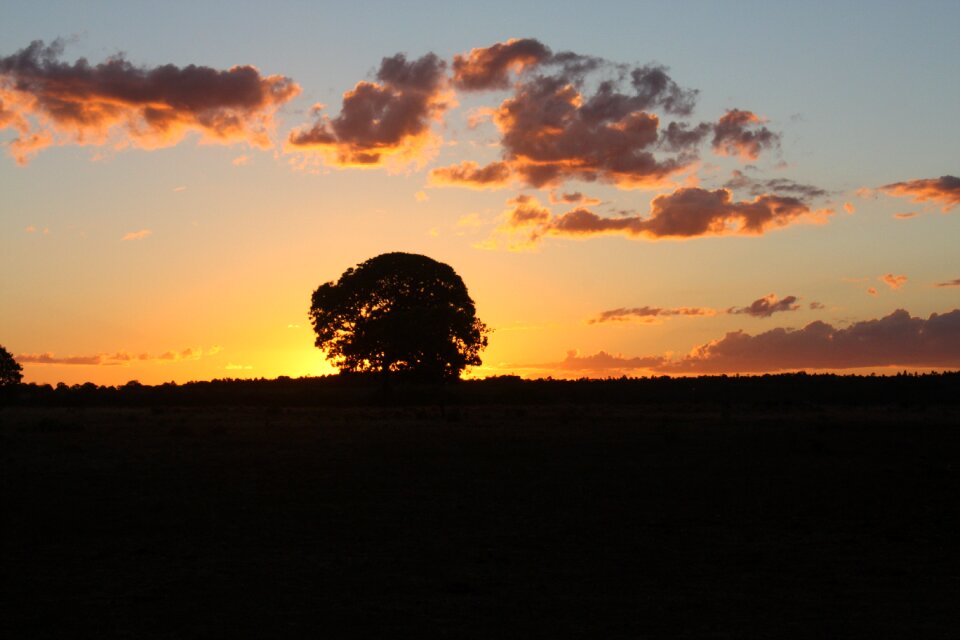 Farm sunset eventide