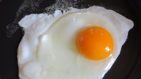Sizzle egg yolk photo