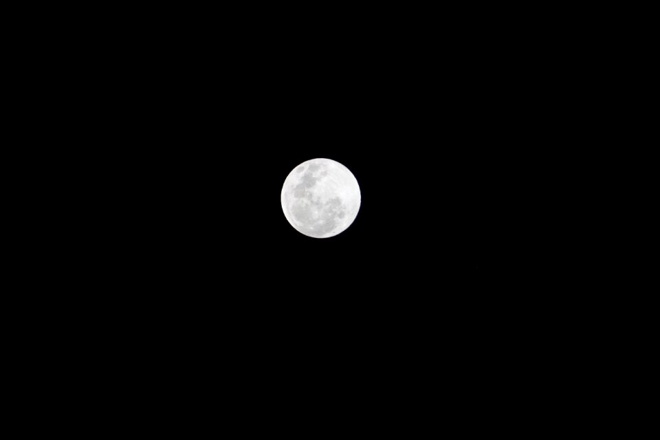 Moonlight moon nocturne
