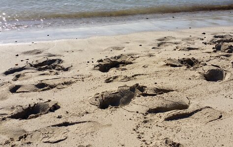 Beach traces sea