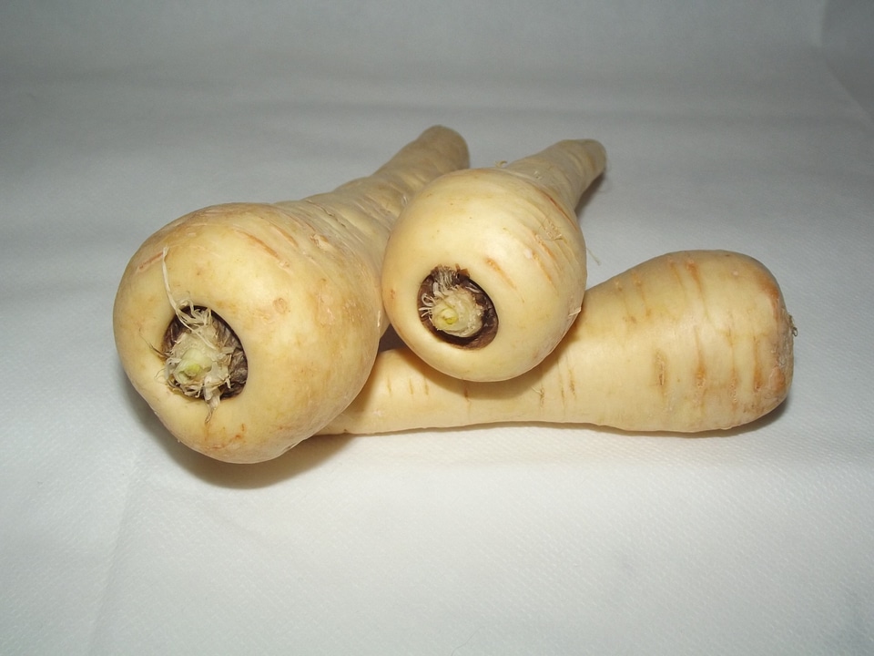 Root food vegetarian