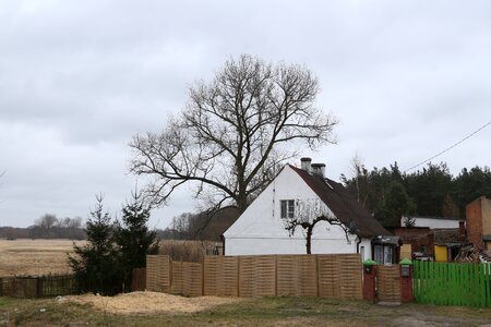 Forest village old house