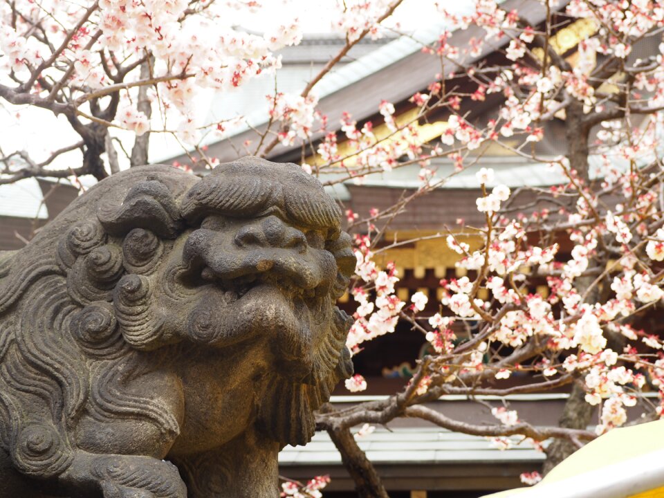 Plum stone statues yushima tenjin