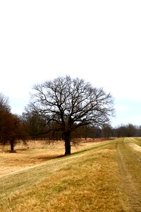 View poland grass photo