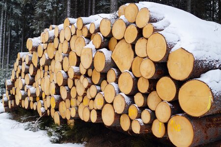 Logs tribes lumberjack