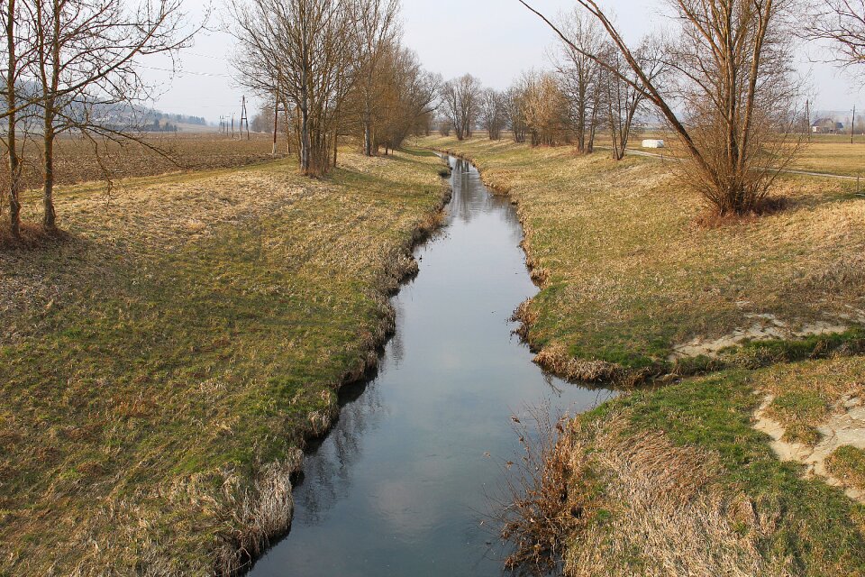 Creek bank watercourse