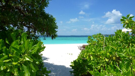 Laamu six senses paradise beach photo