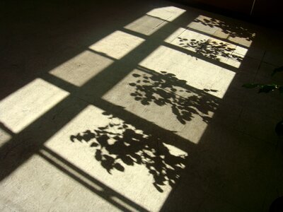 Shadows shadow after the afternoon