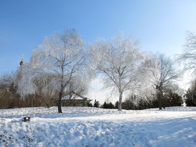 Snow and ice hanging tree blue sky photo