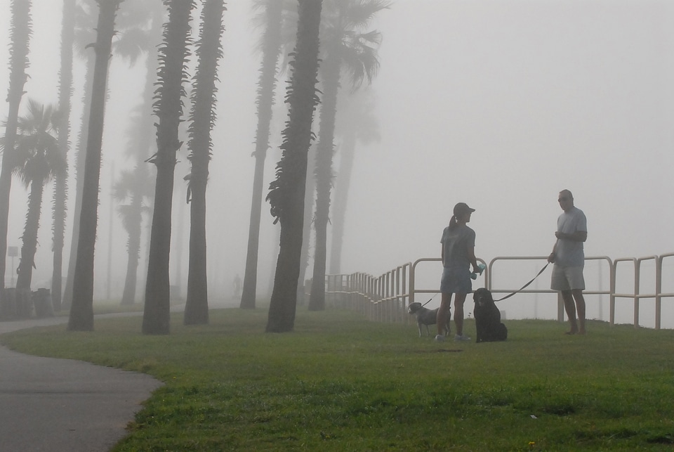 Huntington beach fog