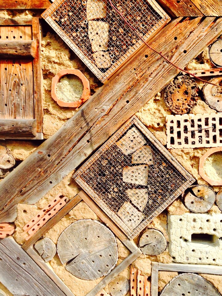 Insect house nature