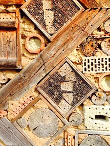 Insect house nature