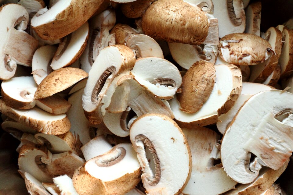 Button mushroom cooking vegetable