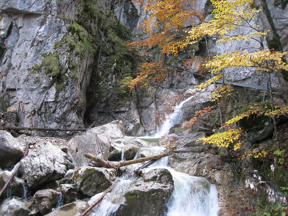 Poellatschlucht autumn leaves
