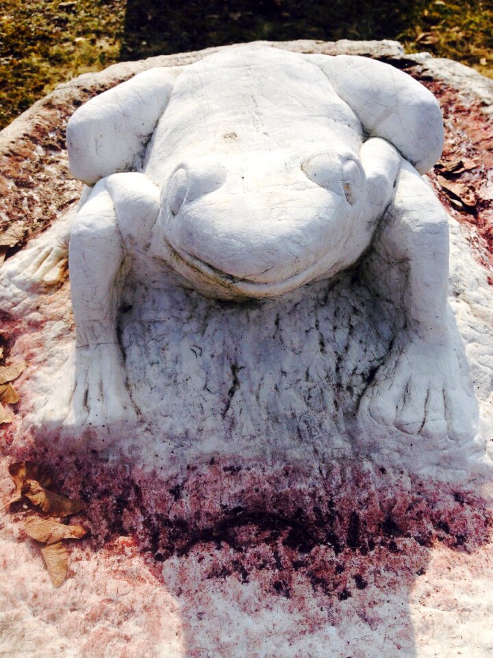 Frog stone sculpture
