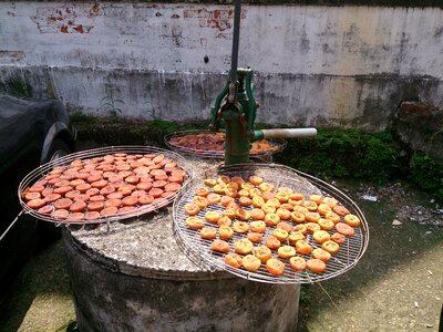 Persimmon hsinchu culture