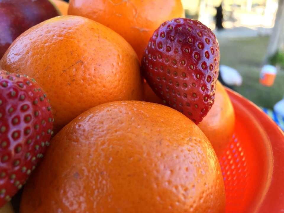 Food juice refreshment