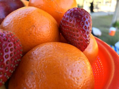 Food juice refreshment