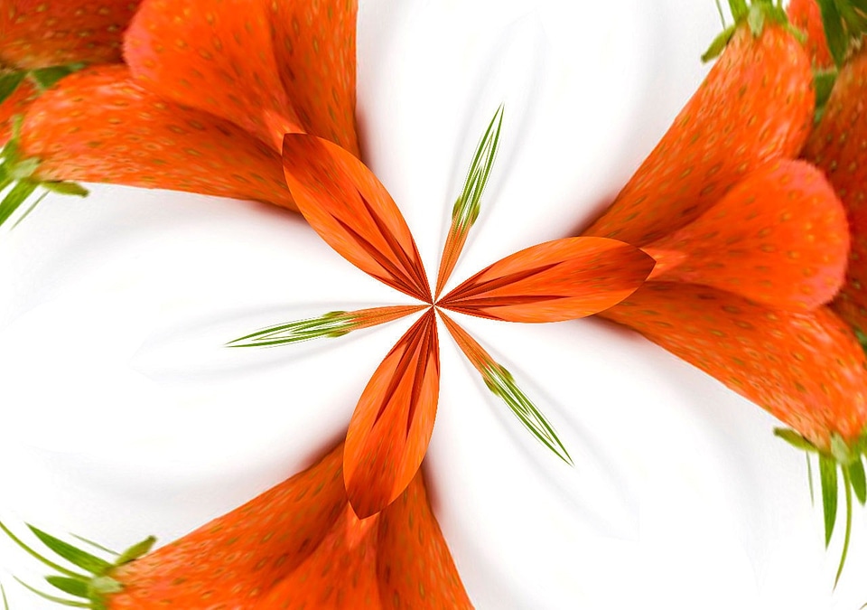 Orange green blooming