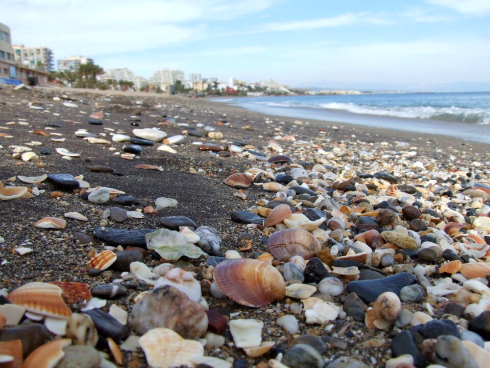 Shells sand sea
