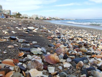 Shells sand sea photo