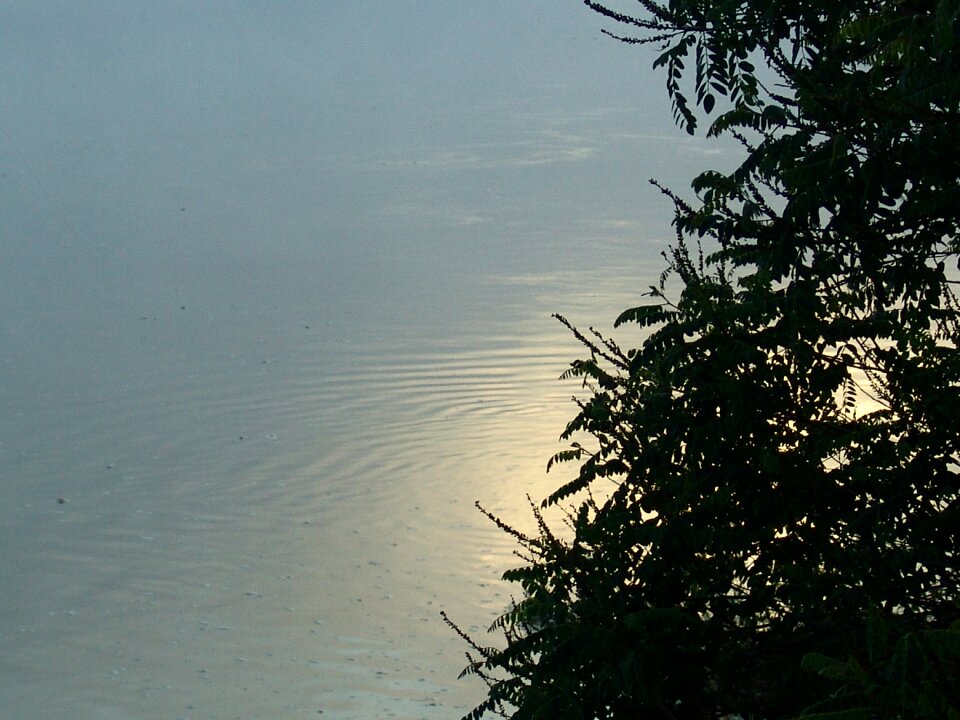 Drava nature fishing