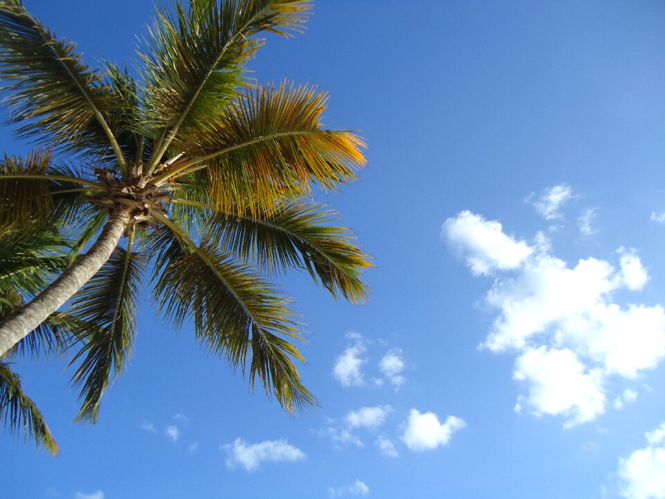 Cloud sky holiday