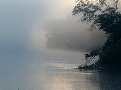 Drava nature fishing photo