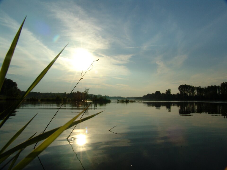 Drava nature fishing