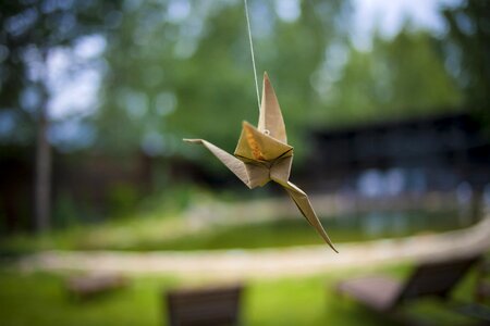 Living nature natur spring