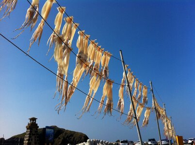 Squid wind fishing