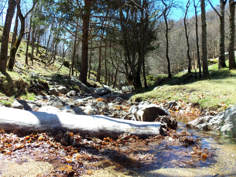 Nature river field