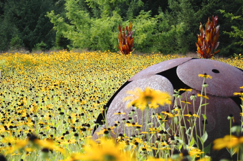 Field yellow sphere