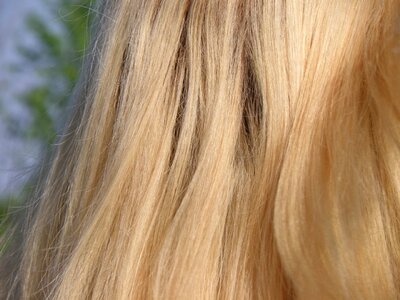 Blonde bright long photo