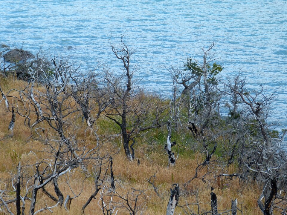 Patagonia landscape national park