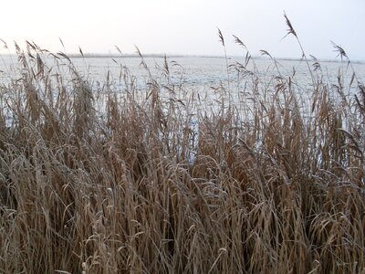 Cold germany wintry