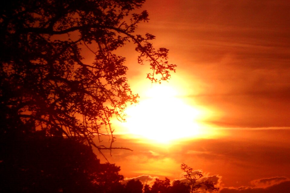 Nature abendstimmung sun