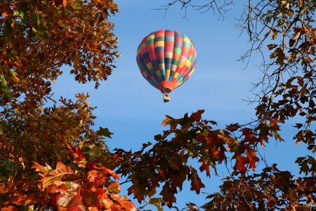 Balloon basket fly