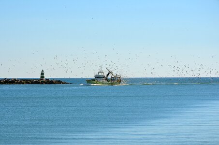 Fishing fish ship