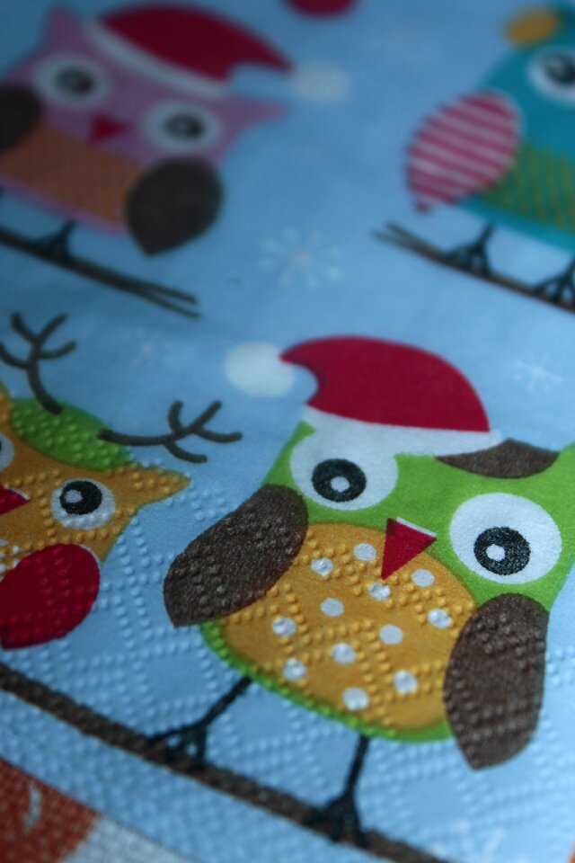 Doily a fairy tale owl