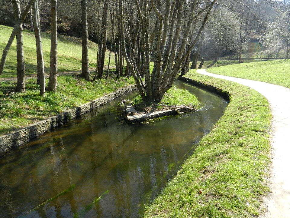 Island water vegetation