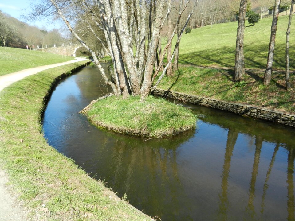 Island water vegetation