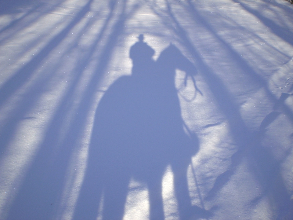 Snow winter western