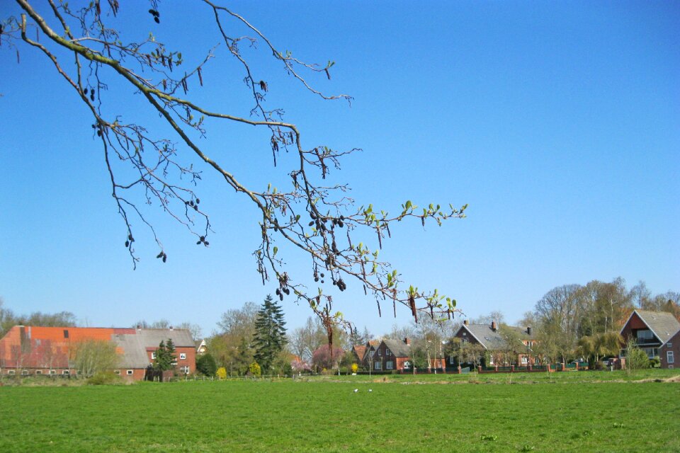 Sky nature rest
