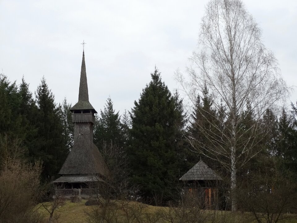 Village forest the village museum
