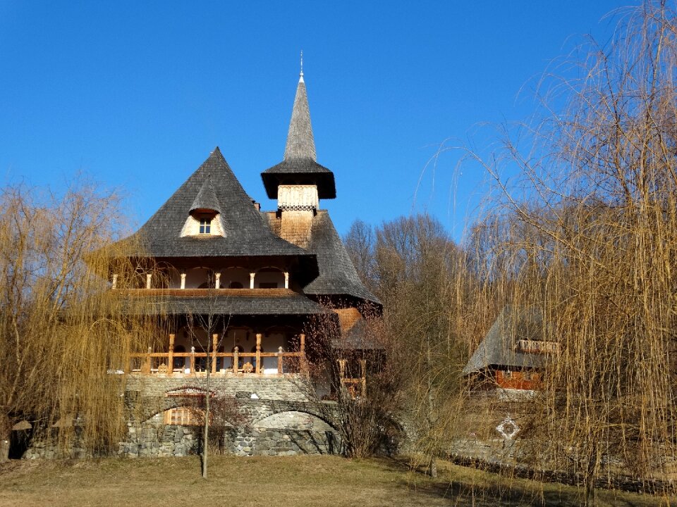 Monastery forest trees